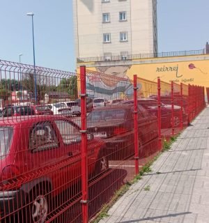 photo_13_2025-06-02_12-14-56