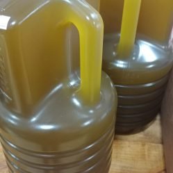 photo_3_2025-06-03_09-45-25